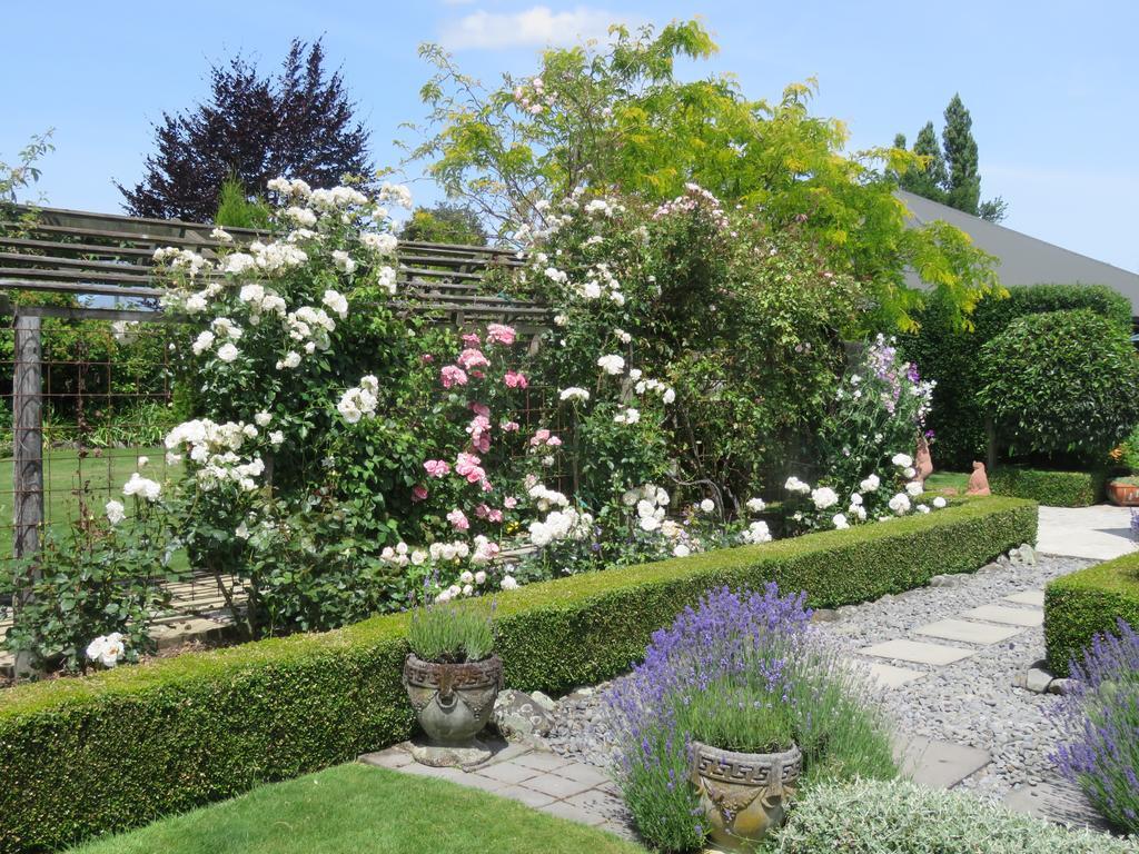 Marchmont Gardens Bed and Breakfast Hanmer Springs Εξωτερικό φωτογραφία