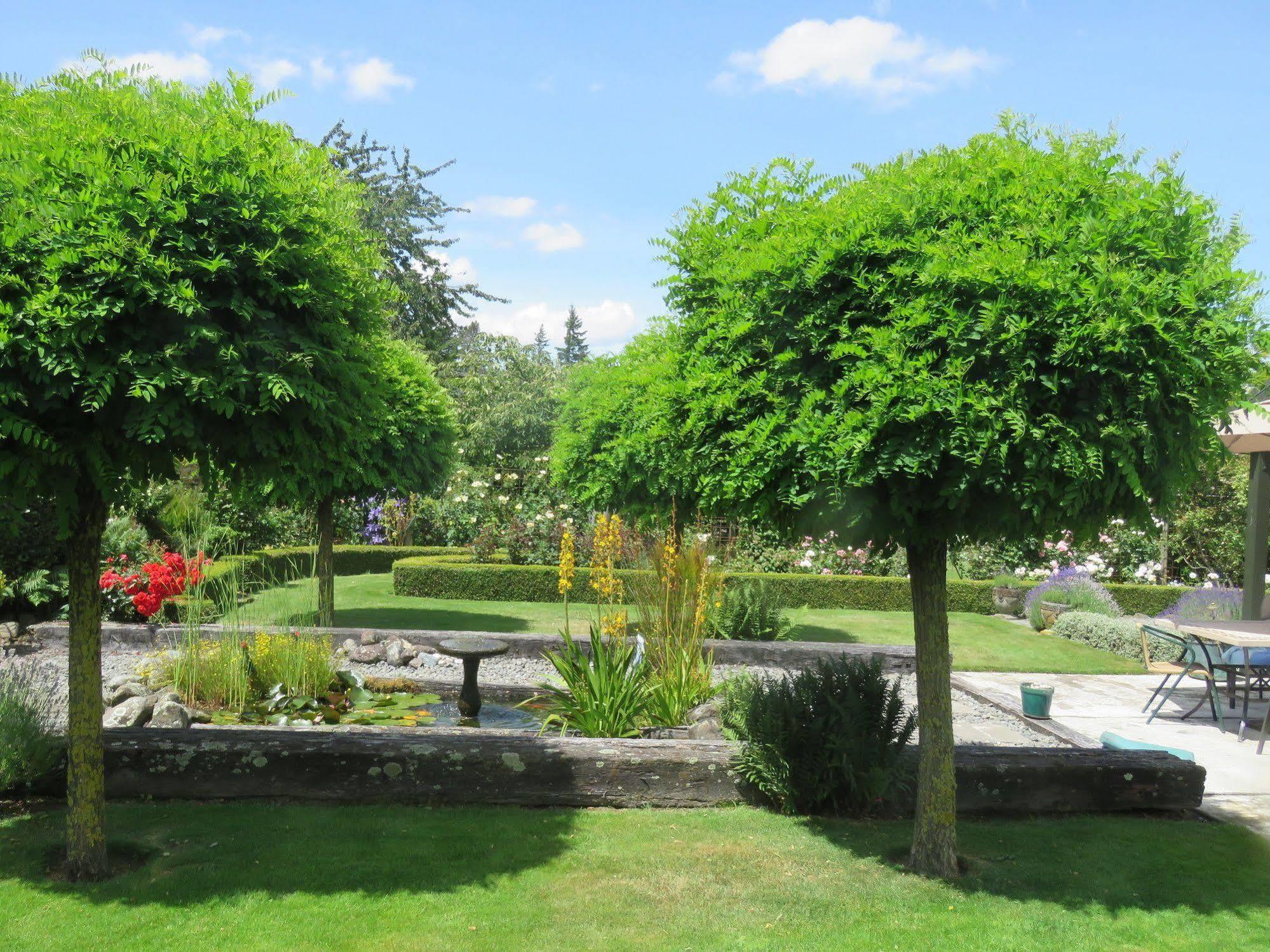 Marchmont Gardens Bed and Breakfast Hanmer Springs Εξωτερικό φωτογραφία